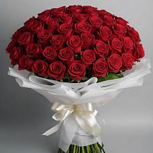 Букет 101 Красная роза Блэк Мэджик #REPLACE_PRED# Грушевской
