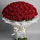 Букет 101 Красная роза Блэк Мэджик в Грушевской