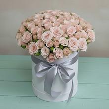 Цветочная композиция из Розы в шляпной коробке #REPLACE_PRED# Грушевской