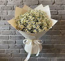 Букет цветов из:  Ромашки в Грушевской