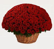 Премиум букет из: Розы в Грушевской